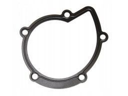 Uszczelka Pompy Cieczy Chłodzącej 394.280