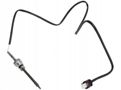 Czujnik Temperatury Spalin 172000309010