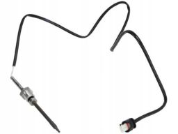 Czujnik Temperatury Spalin 172000309010