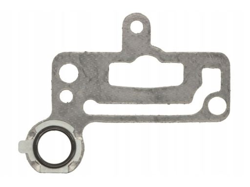 Uszczelka Mocowania Zaworu Egr 538.950