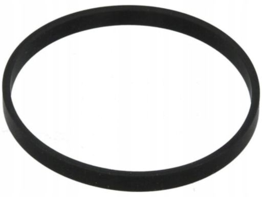 Uszczelka Kolektora Dolotowego 542.430