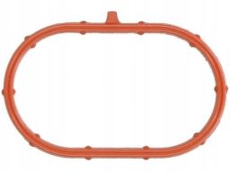 Uszczelka Kolektora Dolotowego 564.910