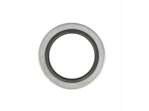 Uszczelka Korka Spustowego Oleju 804.360