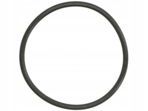 Uszczelka Pompy Cieczy Chłodzącej 634.910