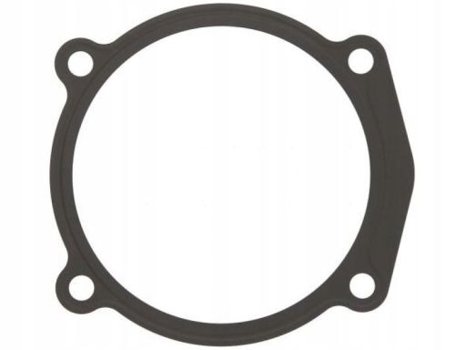 Uszczelka Rury Kolektora Dolotowego 906.710