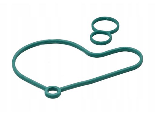 Uszczelka Pompy Paliwa 695.710