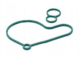 Uszczelka Pompy Paliwa 695.710