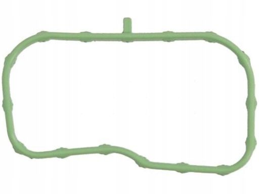 Uszczelka Kolektora Dolotowego 925.820