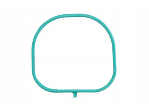 Uszczelka Kolektora Dolotowego 708.610