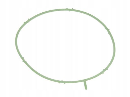 Uszczelka Rury Kolektora Dolotowego 729.960