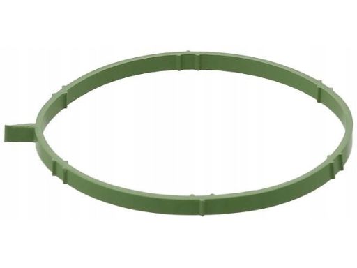 Uszczelka Rury Kolektora Dolotowego 729.960