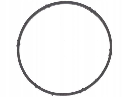 Uszczelka Rury Kolektora Dolotowego 740.170