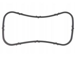 Uszczelka Rury Kolektora Dolotowego 467.780