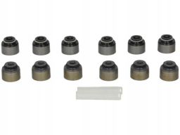 Zestaw Uszczelniaczy Trzonka Zaworów 338.870