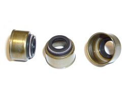 Uszczelniacz Trzonka Zaworu 523.917