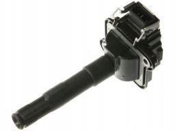 Cewka Zapłonowa 48008