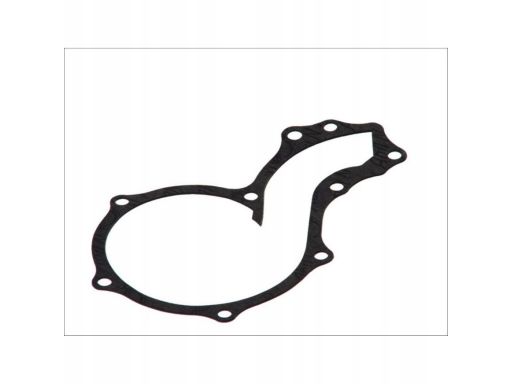 Uszczelka Pompy Cieczy Chłodzącej 164.111