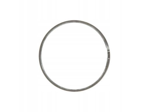 Pierścień Uszczelniający Kolektora Wydec 240.300