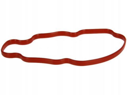 Uszczelka Rury Kolektora Dolotowego 266.260