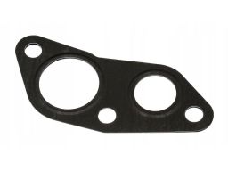 Uszczelnienie Zaworu Egr 300.351