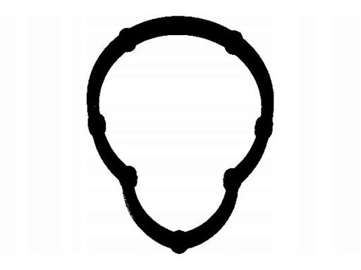 Uszczelka Kolektora Dolotowego 331.781