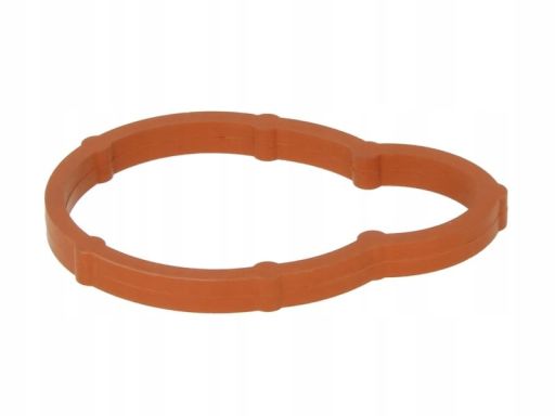 Uszczelka Kolektora Dolotowego 331.781