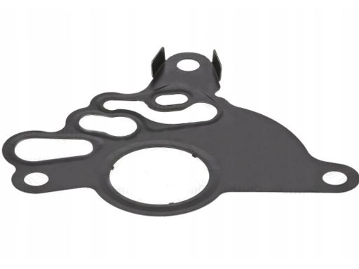 Uszczelka Pompy Paliwa 485.190