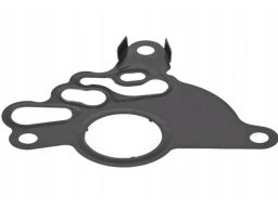Uszczelka Pompy Paliwa 485.190