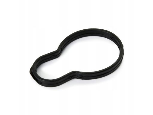 Uszczelka Głowicy Cylindrów 4.20780