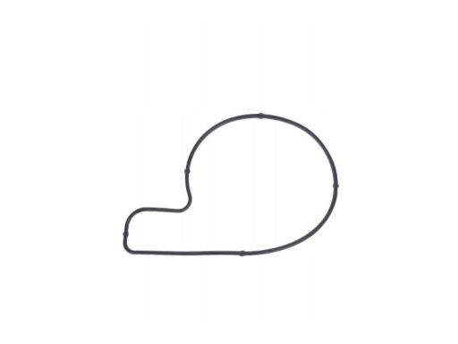 Uszczelka Pompy Cieczy Chłodzącej 527.900