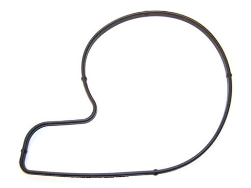 Uszczelka Pompy Cieczy Chłodzącej 527.900