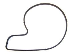 Uszczelka Pompy Cieczy Chłodzącej 527.900