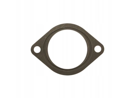 Uszczelnienie Zaworu Egr 530.380