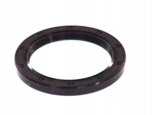 Uszczelniacz Wału Korbowego 166.180