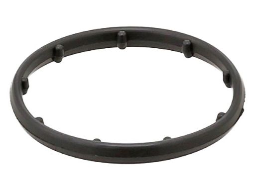 Uszczelka Chłodnicy Oleju 649.830