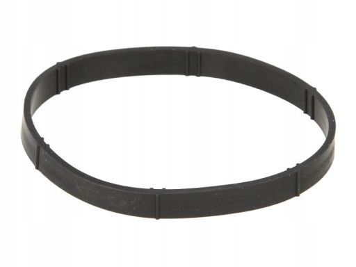 Uszczelka Rury Kolektora Dolotowego 655.790