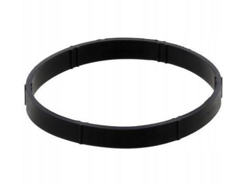 Uszczelka Rury Kolektora Dolotowego 655.790