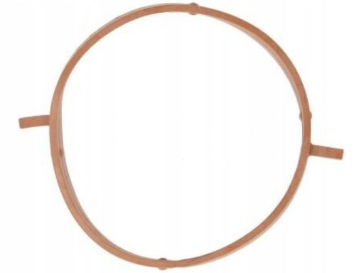 Uszczelka Rury Kolektora Dolotowego 693.910