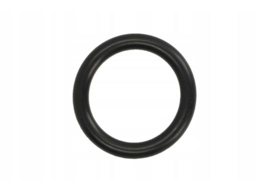 Uszczelka Kolektora Dolotowego 027.160