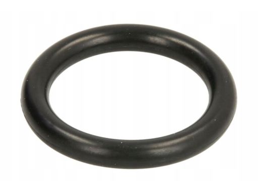 Uszczelka Kolektora Dolotowego 027.160