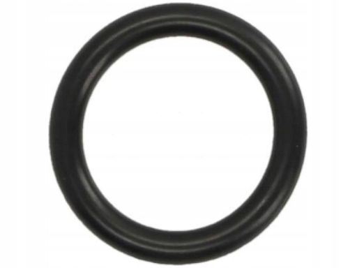 Uszczelka Kolektora Dolotowego 027.160