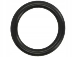 Uszczelka Kolektora Dolotowego 027.160