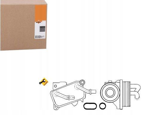 Chłodnica Oleju 31182