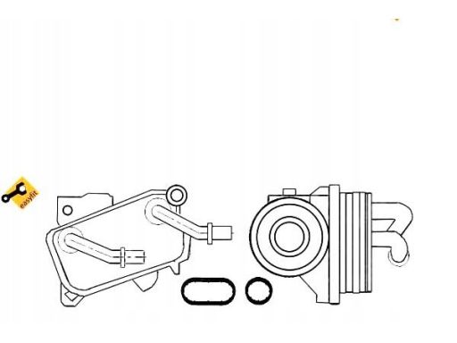 Chłodnica Oleju 31182