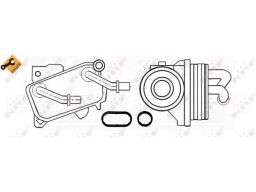 Chłodnica Oleju 31182
