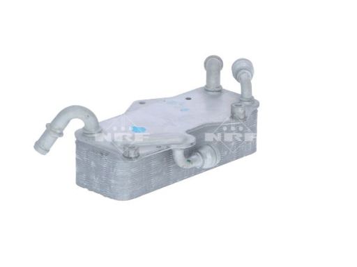 Chłodnica Oleju 31269