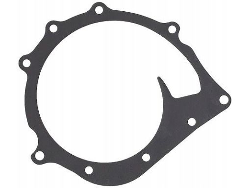 Uszczelka Pompy Cieczy Chłodzącej 794.690