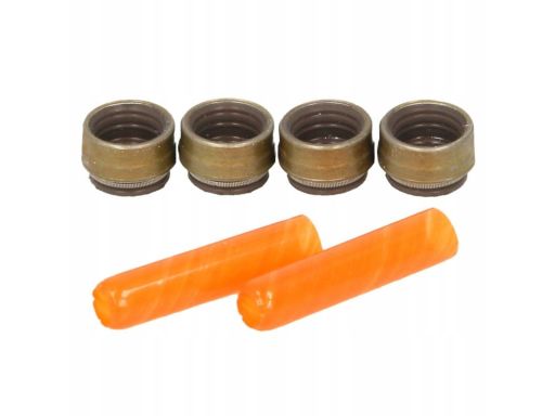 Zestaw Uszczelniaczy Trzonka Zaworów 712.190