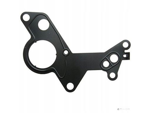 Uszczelka Pompy Podciśnieniowej 876.661