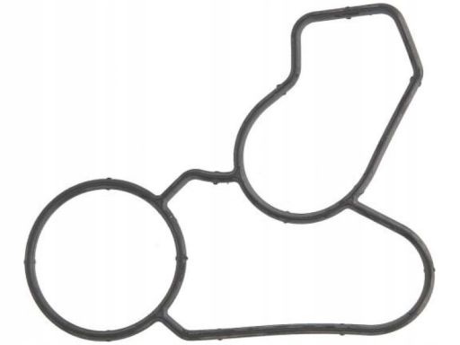 Uszczelka Pompy Cieczy Chłodzącej 877.070